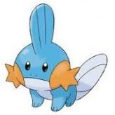 Shiny Mudkip