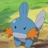 Spicy Mudkip